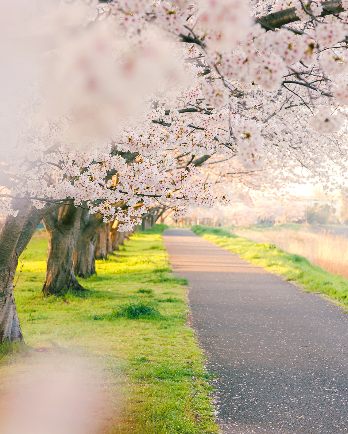 イベント：イメージ