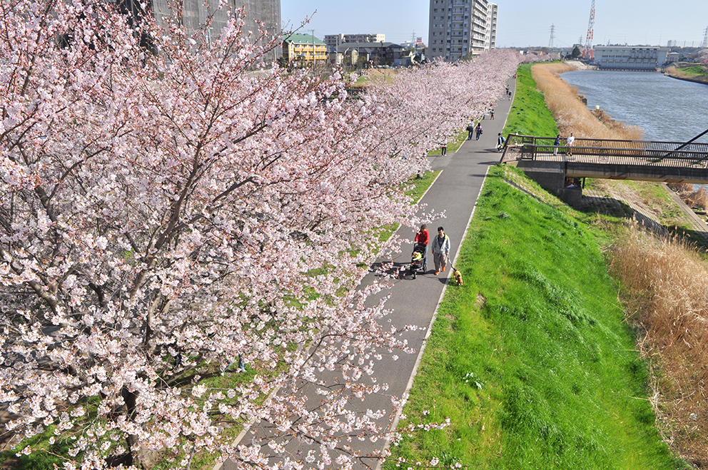 イベント：イメージ