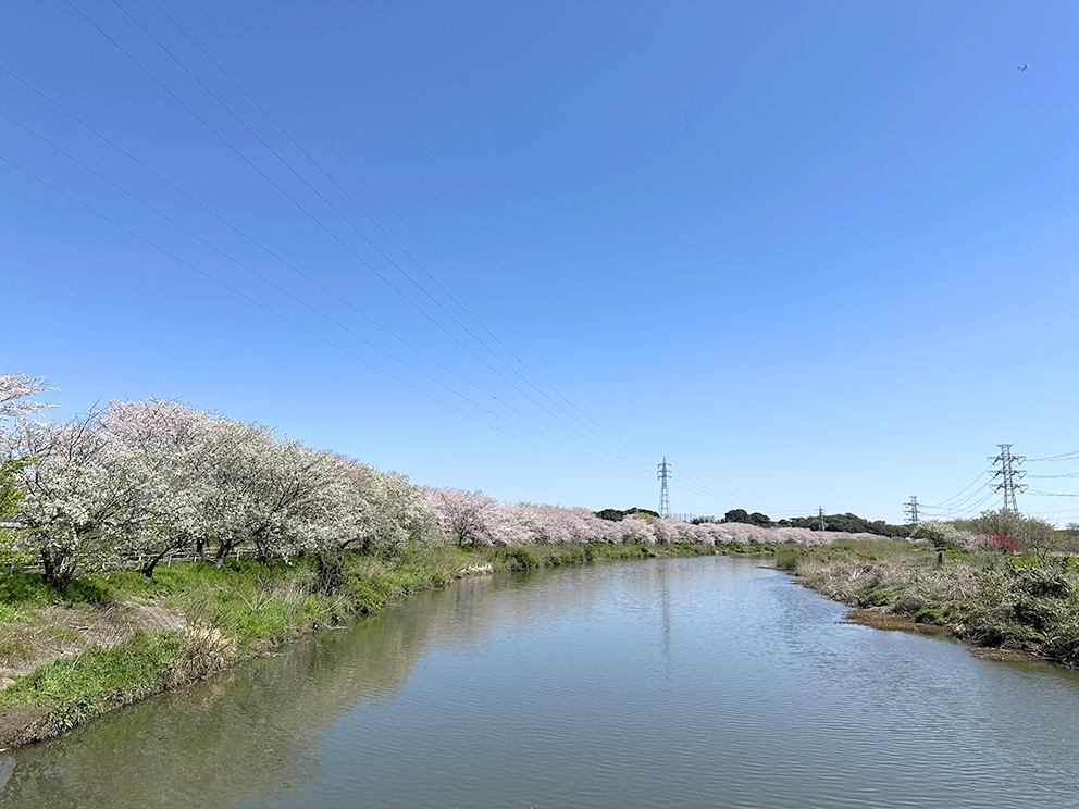 イベント：イメージ