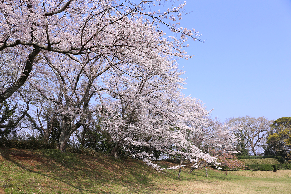 イベント：イメージ