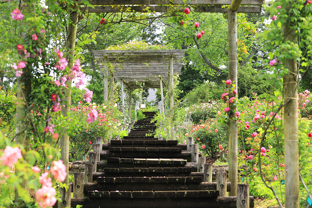 イベント：イメージ